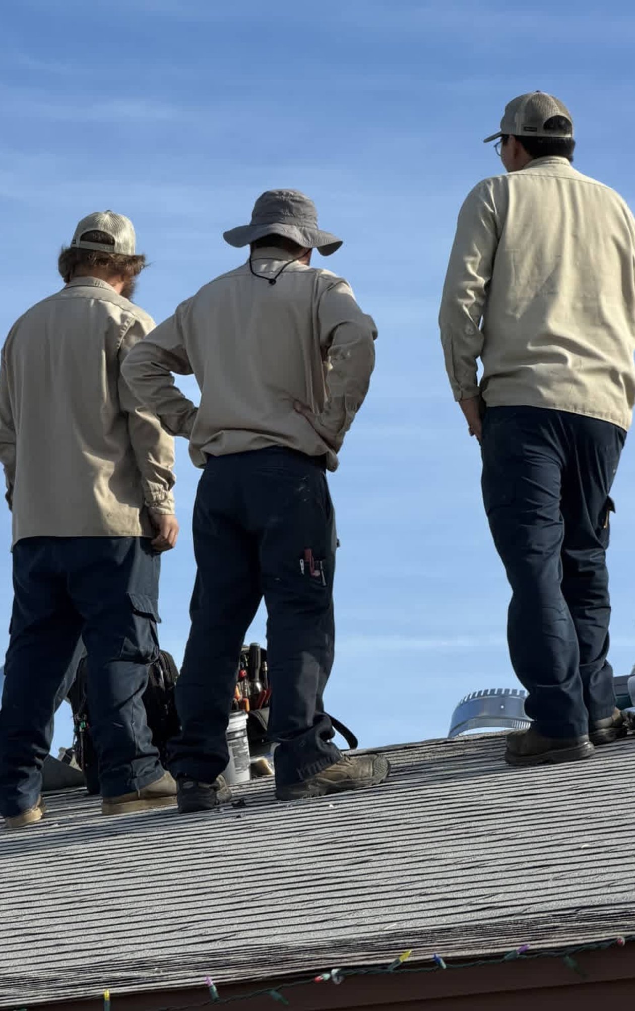 Outdoor backflow device covered with green enclosure
